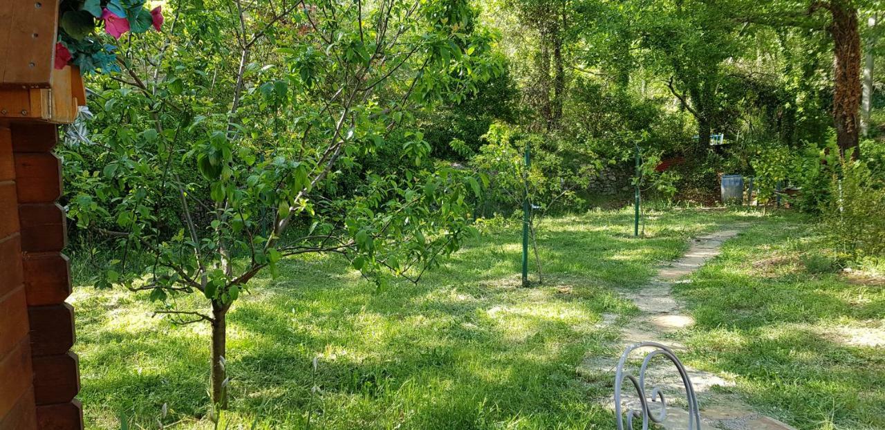 Villa Eden Vert Fayence Extérieur photo